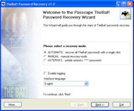 TheBat! Password Recovery screenshot